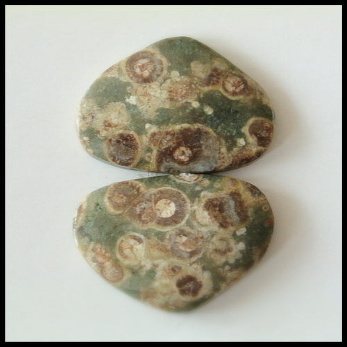 Natural Mushroom Jasper Gemstone Cabochon Pair 21x15x4mm,4.0g - MyGemGarden