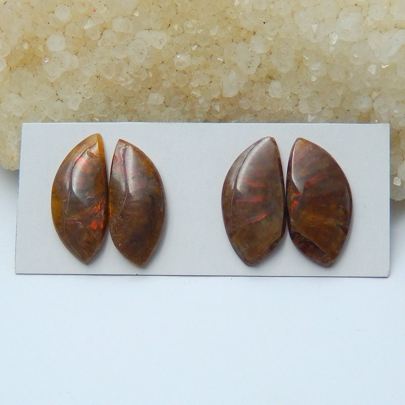 2 Pairs Ammonite Fossil Gemstone Cabochons, 23x10x4mm, 6.1g - MyGemGarden