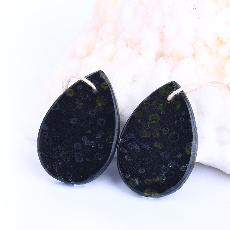 Natural Plant Fossil Waterdrop Drilled Earrings Pair 30x20x3mm,8.7g - MyGemGarden