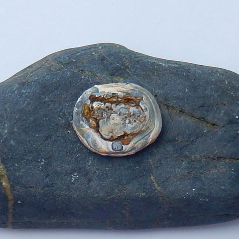 Natural rare mushroom agate nugget gemstone specimen, 25x21x5mm, 3.7g - MyGemGarden