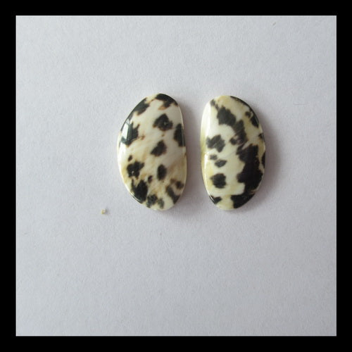 Shell Cabochon Pair 17x10x3mm,1.7g - MyGemGarden