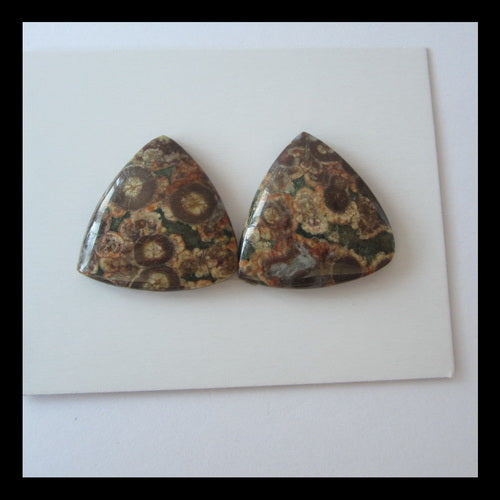 Frog's Eye Cabochon Pair 24x5mm,8.1g - MyGemGarden