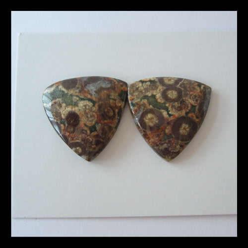 Frog's Eye Cabochon Pair 24x5mm,8.1g - MyGemGarden