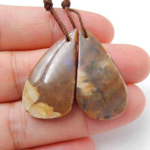 Natural Ammonite Fossil Earrings Pair, stone for Earrings making, 28x15x5mm, 6.5g - MyGemGarden