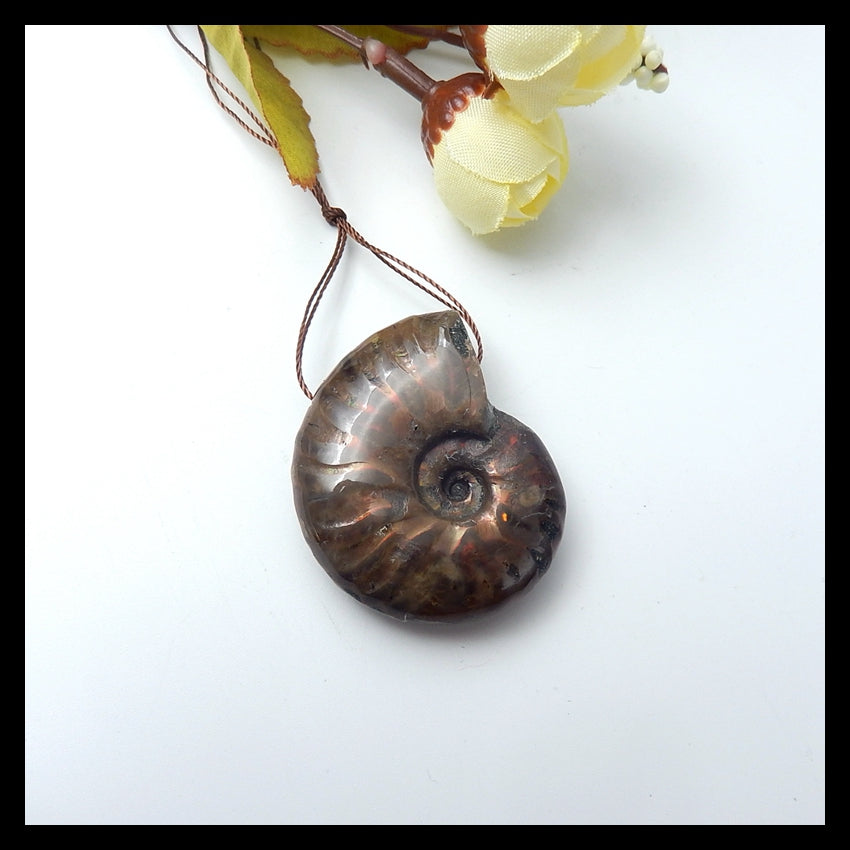 Natural Ammonite Fossil Pendant Bead, 40x33x13mm, 21.3g - MyGemGarden