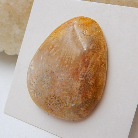 Natural Indonesian Fossil Coral Gemstone Cabochon, 29x24x6mm, 5.7g - MyGemGarden