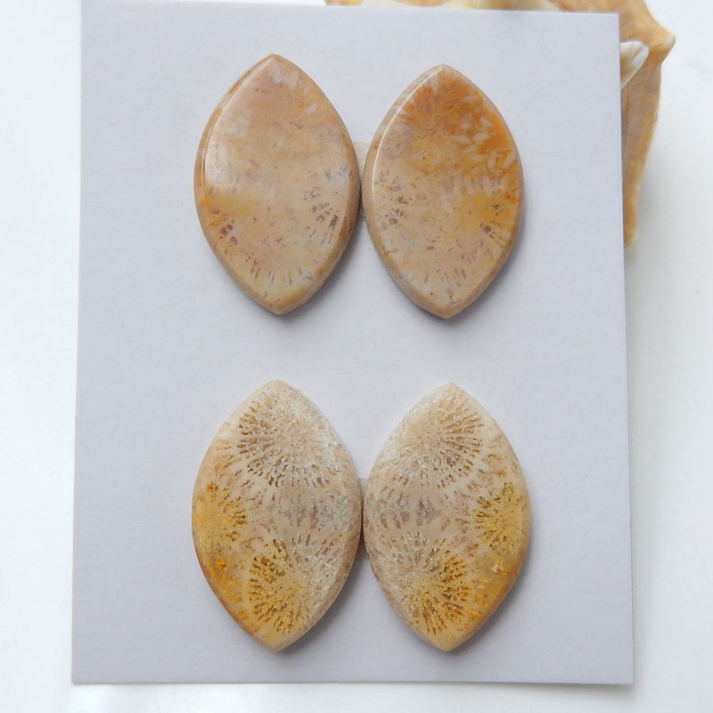 2 Pairs Natural Indonesian Fossil Coral Marquise Gemstone Cabochons, 25x16x3mm, 11.8g - MyGemGarden