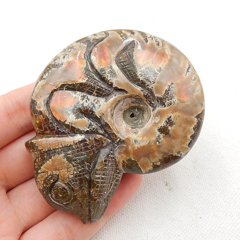 Natural Ammonite Fossil Carved chameleon
