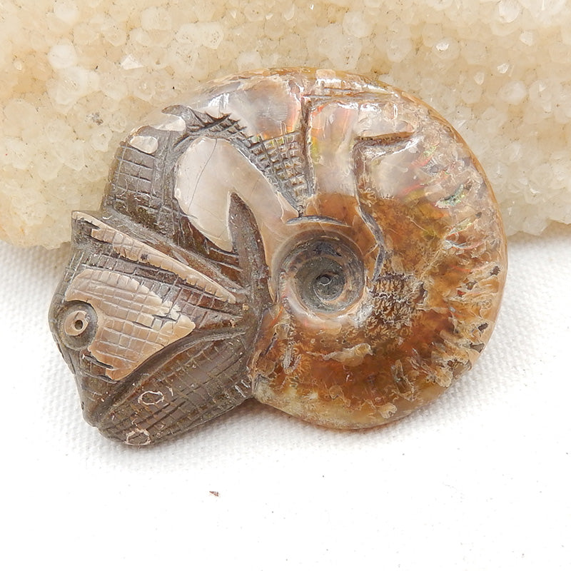 Natural Ammonite Fossil Carved chameleon