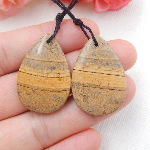 Natural Picture Jasper 宝石耳环一对，30x20x5mm，8.81g