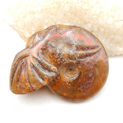 Natural Ammonite Fossil Carved elephant