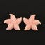BITEFU 1Pair Pink Conch Shell (Made Of Powder Of Shell, Color Is Enhanced ) Starfish , 4.8g