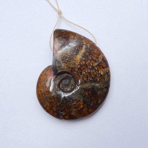 Natural Ammonite Fossil Pendant Bead 37*31*11mm, 18.1g