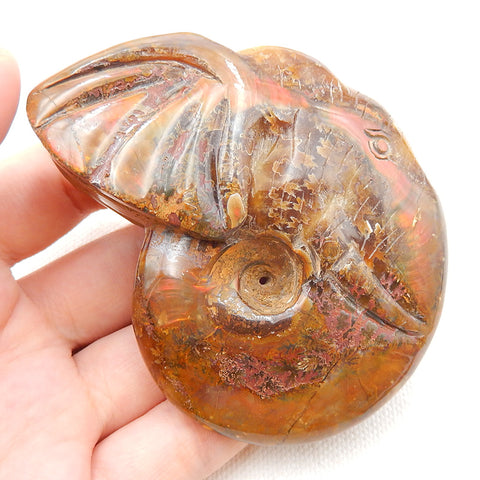 Natural Ammonite Fossil Carved elephant