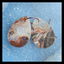 Natural Mushroom Jasper Earring Beads 29x19x3mm, 6.4g