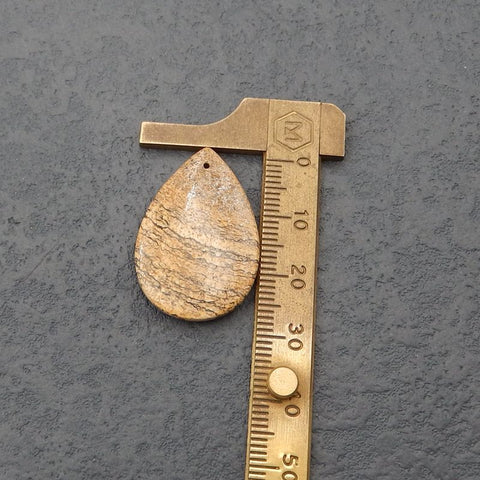 Natural Picture Jasper 宝石耳环一对，30x20x5mm，8.81g