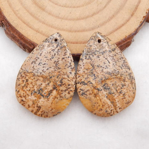 Natural Picture Jasper Earring Beads 30x20x4mm, 7.7g
