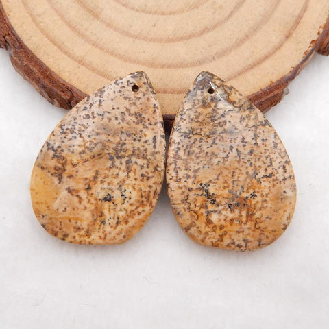 Natural Picture Jasper Earring Beads 30x20x4mm, 7.7g