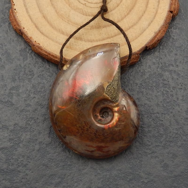 Natural Ammonite Fossil Pendant Bead 37*31*11mm, 18.1g