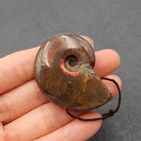 Natural Ammonite Fossil Pendant Bead 37*31*11mm, 18.1g