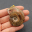 Natural Ammonite Fossil Pendant Bead 37*31*11mm, 18.1g