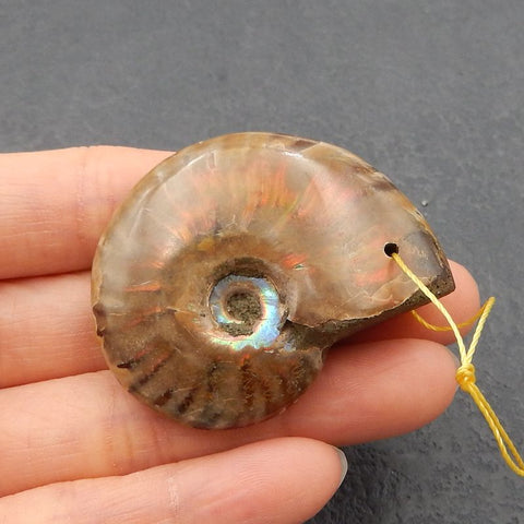 Natural Ammonite Fossil Pendant Bead 37*31*11mm, 18.1g
