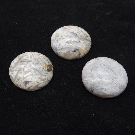 3 pcs Natural Bamboo Agate Cabochons 32x32x8mm, 14.7g