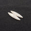 Natural Indonesian Coral Fossil Gemstone Earring Beads, 37x9x4mm, 3.6g