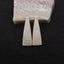 Natural Indonesian Coral Fossil Gemstone Earring Beads, 42x14x4mm, 7.3g