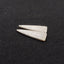 Natural Indonesian Coral Fossil Gemstone Earring Beads, 42x14x4mm, 7.3g