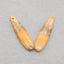 Natural BumbleBee Jasper Earring Beads 39*9*4mm, 4.7g