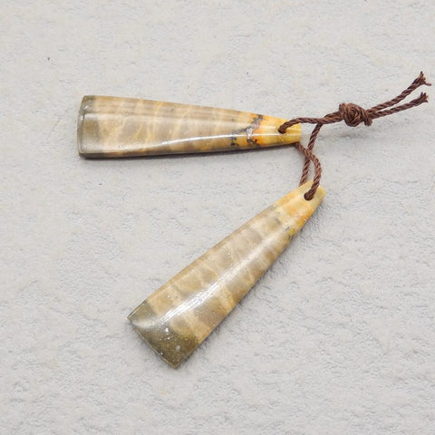 Natural Bumblebee Jasper Earring Beads 35*10*4mm, 4.0g