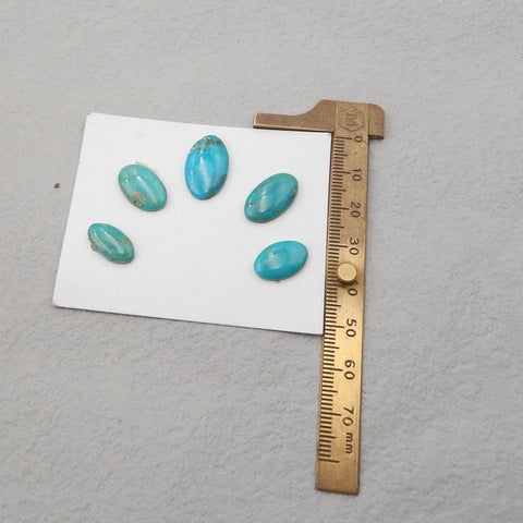 5 PCS Natural Turquoise Cabochons 18*11*3mm, 14*8*3mm, 5g