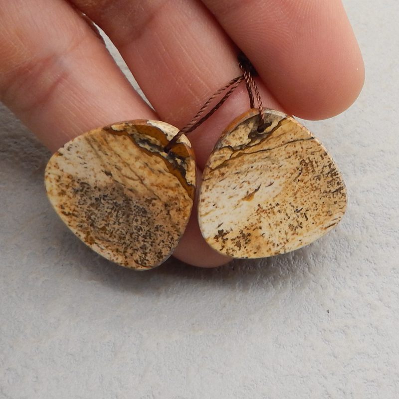 Natural Picture Jasper Earring Beads 24x23x3mm, 7.3g