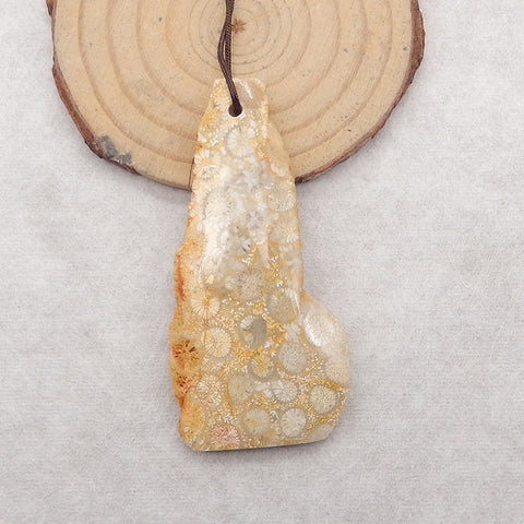 Nugget (Rough Sides) Natural Indonesian Fossil Coral Gemstone Pendant Bead,62x30x7mm, 17g