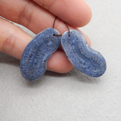 Natural Blue Coral Earring Beads 38*19*4mm, 8.9g