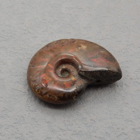 Natural Ammonite Fossil Pendant Bead 37*31*11mm, 18.1g