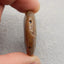Natural Ammonite Fossil Pendant Bead 37*31*11mm, 18.1g