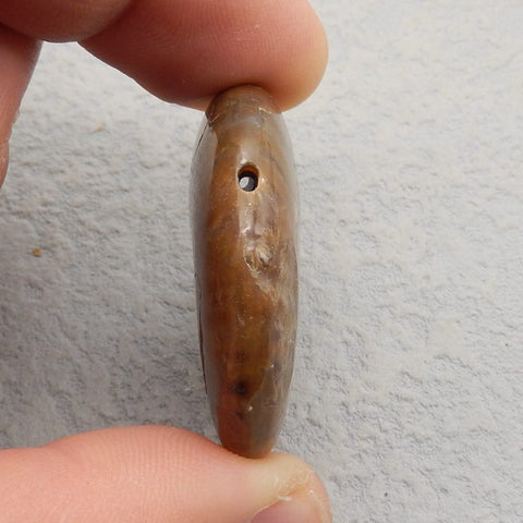 Natural Ammonite Fossil Pendant Bead 37*31*11mm, 18.1g