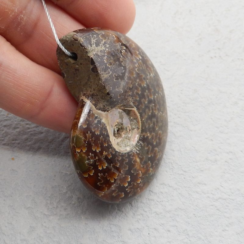 Natural Ammonite Fossil Pendant Bead 37*31*11mm, 18.1g