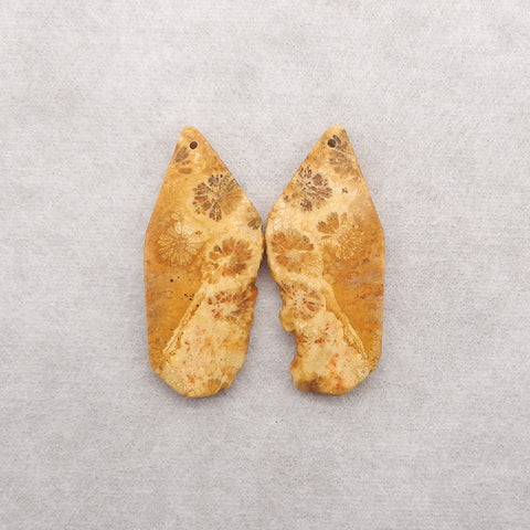 Nugget (Rough Sides) Natural Indonesian Fossil Coral Gemstone Earring Beads