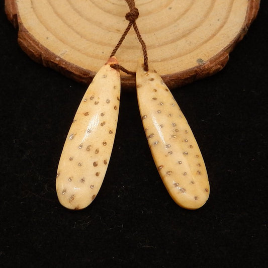 Natural Coconut Fossil Earring Beads 40*11*4mm, 4.9g