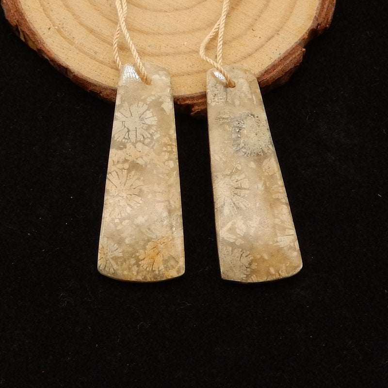天然印尼化石珊瑚耳环一对，用于制作耳环的石头，40x15x4 毫米，8.6 克
