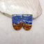 Natural Lapis Lazuli Gemstone Earring Beads, Jewelry DIY Making, Drilled Gemstone Pair, 31x20x4mm, 11.9g