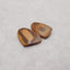 Nugget (Rough Sides) Natural US Biggs Picture Jasper Gemstone Earring Beads, 23x19x4mm, 5g