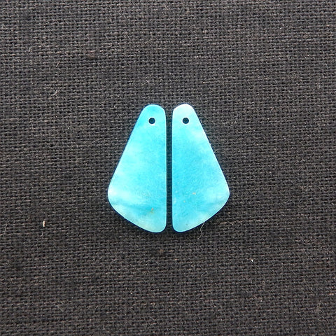 New 1 Pair Natural Amazonite Gemstone Earring Beads, 37x9x3mm, 4.8g