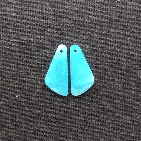 New 1 Pair Natural Amazonite Gemstone Earring Beads, 37x9x3mm, 4.8g