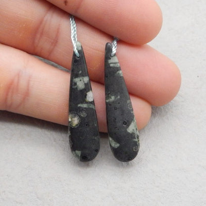 Natural Plant Fossil Earring Beads 39*10*4mm, 4.9g