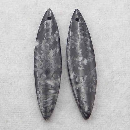 Natural Chrysanthemum Fossil Earring Beads 38*9*3mm, 4.3g