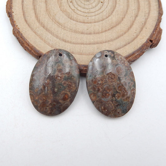 Natural Rhyolite Bird's Eye Jasper Earring Beads 25x18x4mm, 6.3g